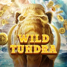 Wild tundra